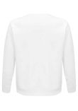 SOL'S Unisex Space Organic Raglan Sweatshirt