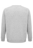 SOL'S Unisex Space Organic Raglan Sweatshirt