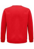 SOL'S Unisex Space Organic Raglan Sweatshirt