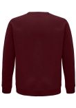 SOL'S Unisex Space Organic Raglan Sweatshirt