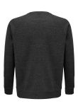 SOL'S Unisex Space Organic Raglan Sweatshirt