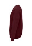 SOL'S Unisex Space Organic Raglan Sweatshirt