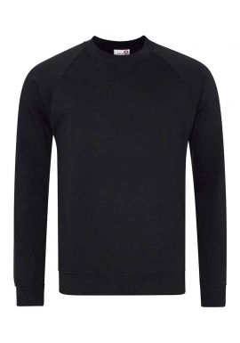 AWDis Academy Senior Raglan Sweatshirt