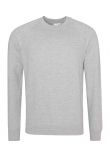 AWDis Academy Senior Raglan Sweatshirt