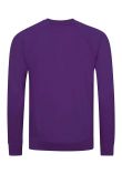 AWDis Academy Senior Raglan Sweatshirt