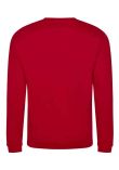 Pro RTX Pro Sweatshirt
