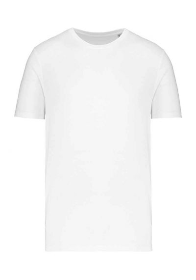 Native Spirit Unisex T-Shirt