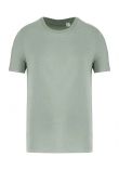 Native Spirit Unisex T-Shirt