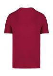 Native Spirit Unisex T-Shirt