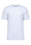 Native Spirit Unisex Oversized T-Shirt
