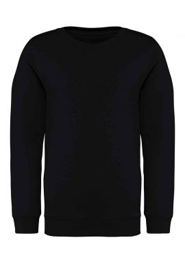 Native Spirit Kids Crew Neck Sweatshirt