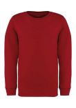 Native Spirit Kids Crew Neck Sweatshirt
