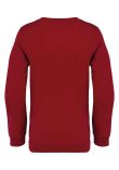 Native Spirit Kids Crew Neck Sweatshirt