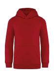 Native Spirit Kids Hooded Sweatshirt