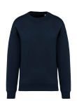 Native Spirit Unisex Oversized Sweatshirt