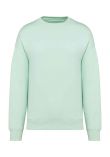 Native Spirit Unisex Oversized Sweatshirt