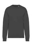 Native Spirit Unisex Oversized Sweatshirt
