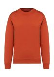 Native Spirit Unisex Oversized Sweatshirt