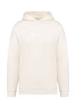 Native Spirit Unisex Oversized Hoodie