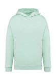 Native Spirit Unisex Oversized Hoodie