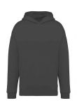 Native Spirit Unisex Oversized Hoodie