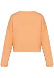 Native Spirit Ladies Oversized Cropped Sweatshirt