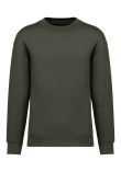 Native Spirit Unisex Crew Neck Sweatshirt