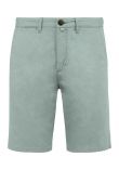 Native Spirit Chino Shorts
