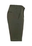 Native Spirit Chino Shorts