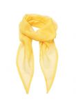 Premier 'Colours' Chiffon Scarf