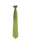 Premier 'Colours' Satin Clip Tie