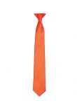 Premier 'Colours' Satin Clip Tie