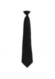 Premier 'Colours' Fashion Clip Tie