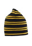 Result Team Reversible Beanie