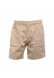 Regatta Action Shorts