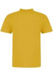 AWDis The 100 Cotton Piqué Polo Shirt