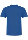 AWDis The 100 Cotton Piqué Polo Shirt