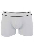 Kariban Boxers