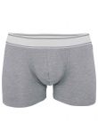 Kariban Boxers