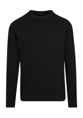 Build Your Brand Raglan sweat crew neck