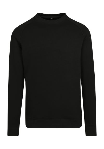 Build Your Brand Raglan sweat crew neck