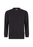 Orn Kestrel EarthPro Sweatshirt