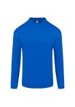 Orn Kite Sweatshirt