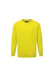 Orn Kite Sweatshirt