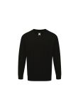 Orn Buzzard V-Neck Sweatshirt
