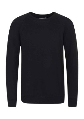 AWDis Academy Kids Raglan Sweatshirt