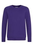 AWDis Academy Kids Raglan Sweatshirt