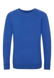 AWDis Academy Kids Raglan Sweatshirt