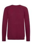 AWDis Academy Kids Raglan Sweatshirt
