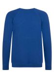 AWDis Academy Kids Raglan Sweatshirt